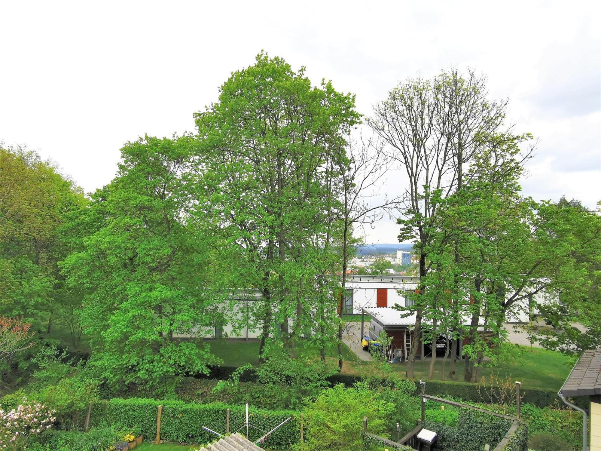 Bohnapartments - Stadtblick Zechenhaus - Balkon - Gratis Parkplatz - Wlan - Sehr Ruhig - Barrierearm Ilmenau Bagian luar foto