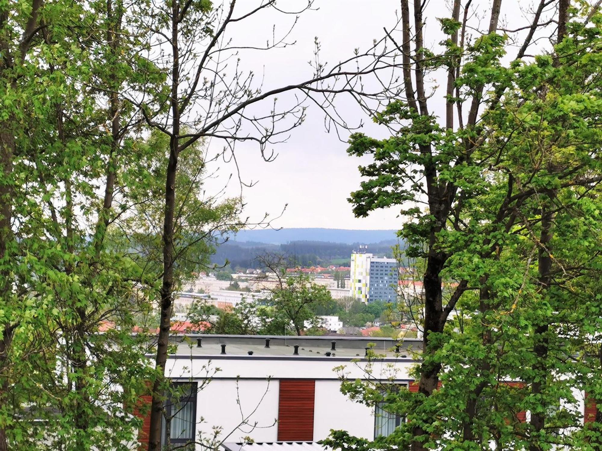 Bohnapartments - Stadtblick Zechenhaus - Balkon - Gratis Parkplatz - Wlan - Sehr Ruhig - Barrierearm Ilmenau Bagian luar foto